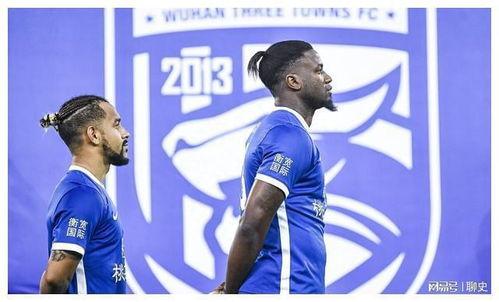 武汉外援爆料最新消息,揭秘疫情下的真实情况与挑战”  第2张